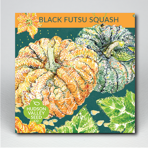Black Futsu Squash Art Pack Seeds