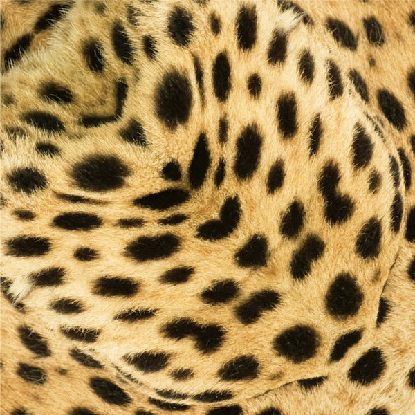 RealFake Savannah Series Origami | Giraffe, Elephant, Cheetah