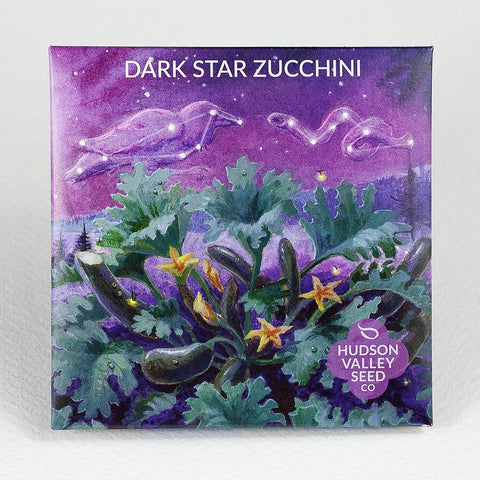 Dark Star Zucchini Art Pack Seeds