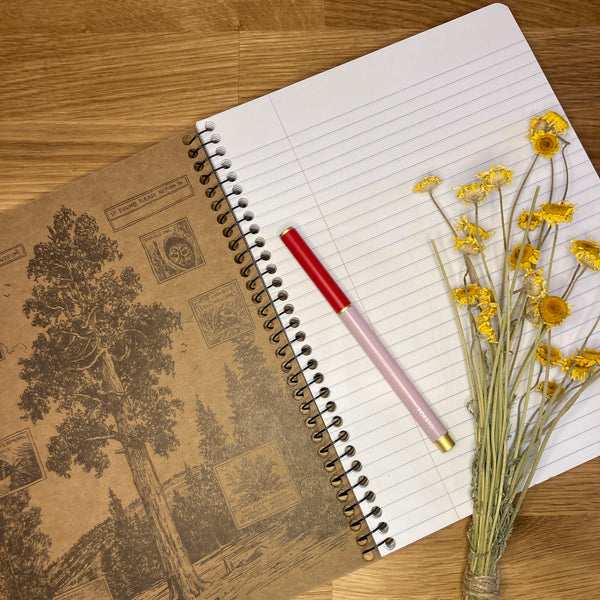 Hummingbirds | Coilbound Decomposition Book