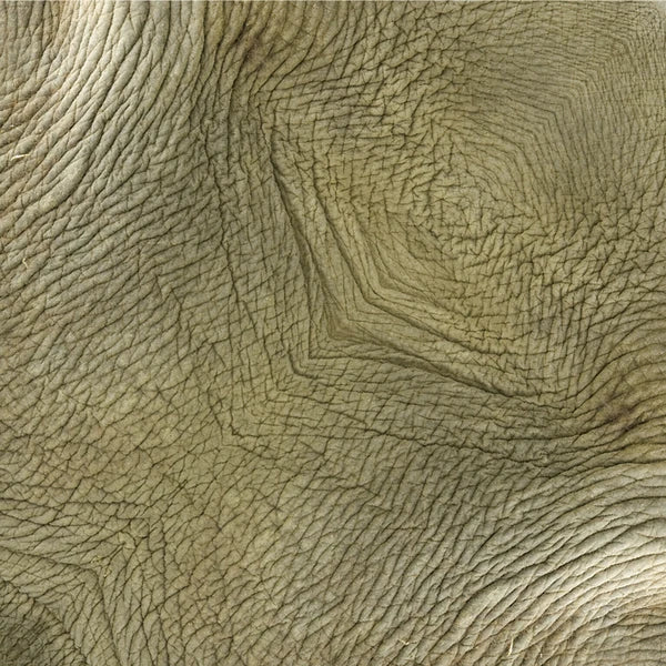 RealFake Savannah Series Origami | Giraffe, Elephant, Cheetah