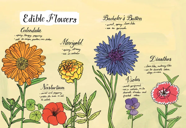 Farm Anatomy by Julia Rothman