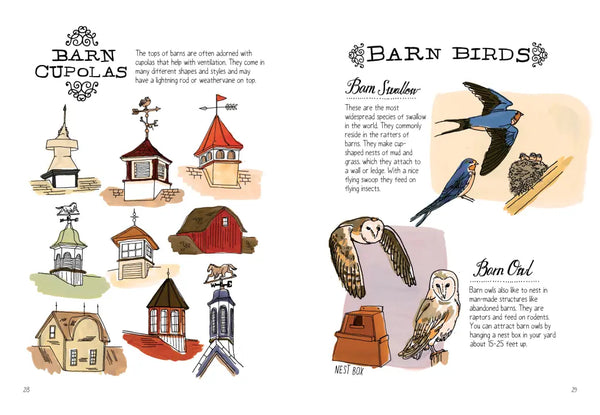 Farm Anatomy by Julia Rothman