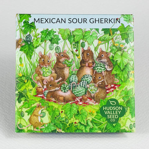 Mexican Sour Gherkin Art Pack Seeds