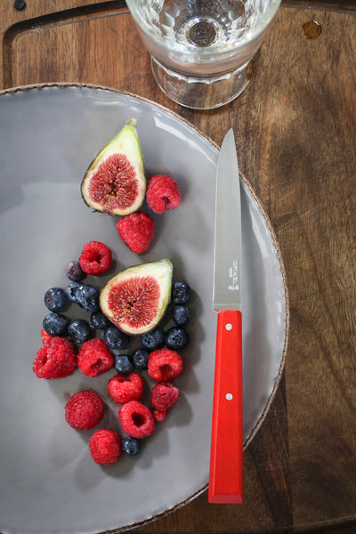 Bon Appetit Steak Knife | Wood Handle