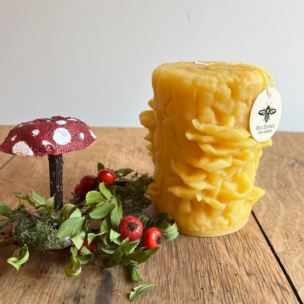 Oyster Mushroom | Sculpted Beeswax Candle