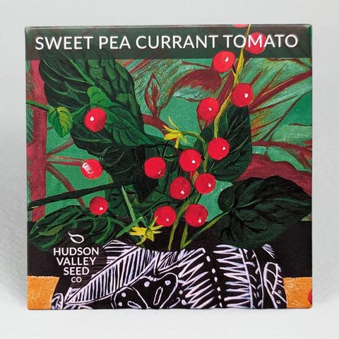 Sweet Pea Currant Tomato Art Pack Seeds