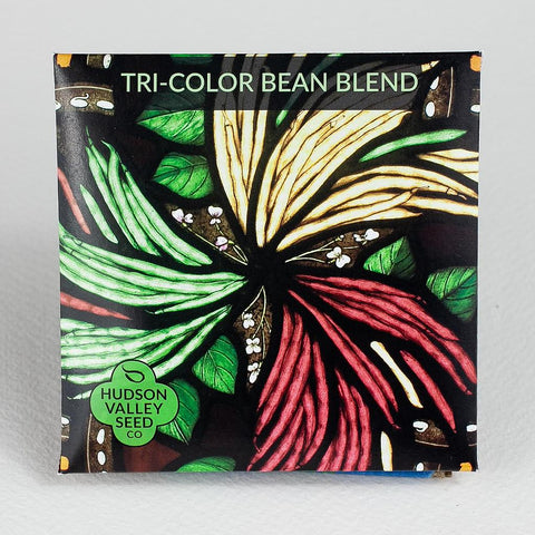Tri-Color Bean Blend Seeds Art Pack