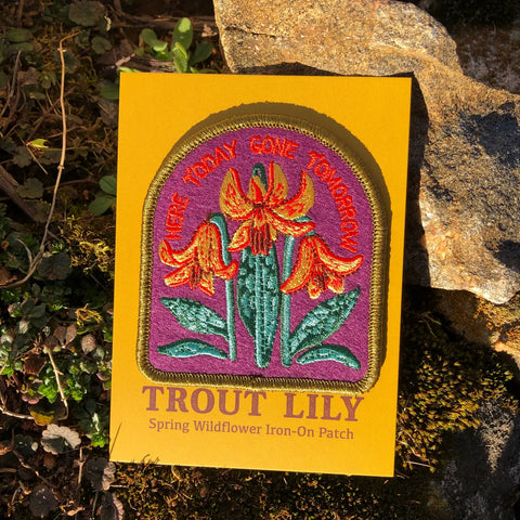 Trout Lily | Indigenous Plant Patch