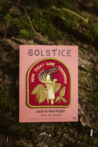 Jack in the Pulpit | Indigenous Plant Patch