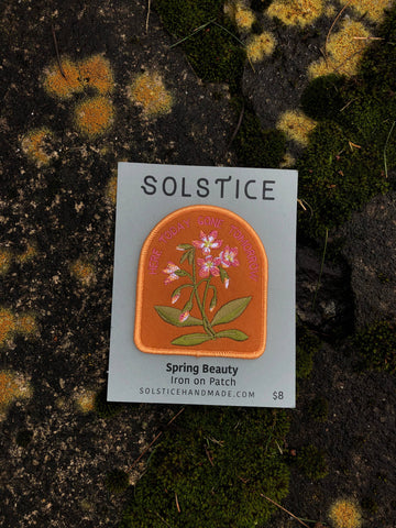 Spring Beauty | Indigenous Plant Patch