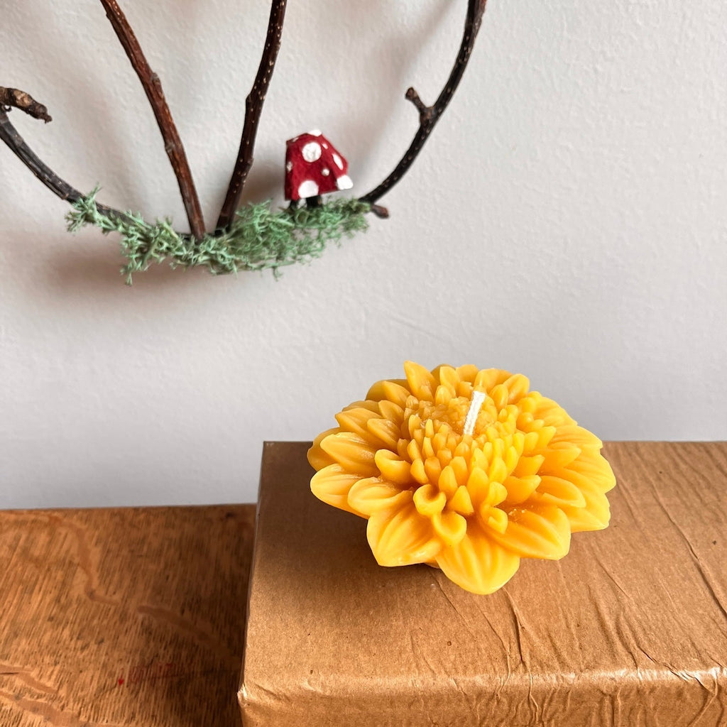 Beeswax: A Magical Gift From the Bees