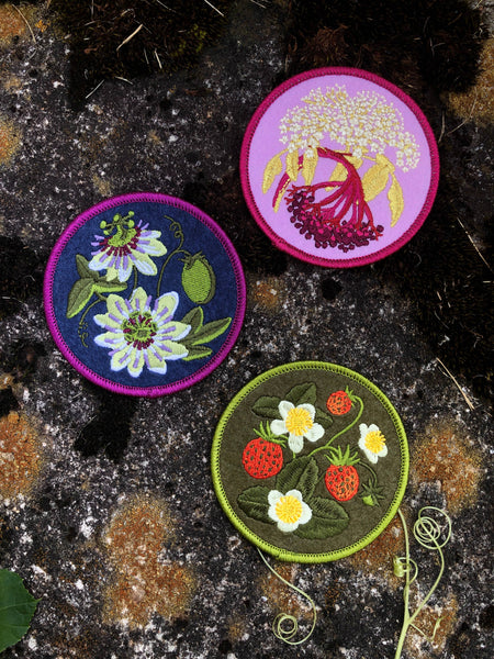 Common Elderberry | Indigenous Plant Patch