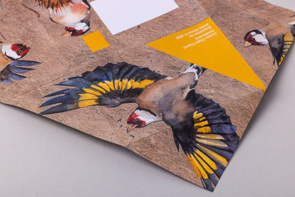 Golden Flight Pigeon Folding Letter Set