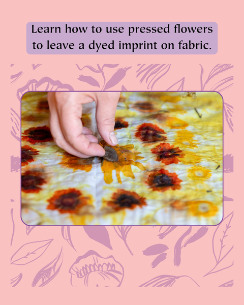 Dye Workshop | Eco-Dyeing