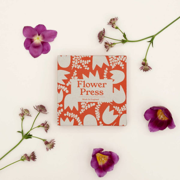 Tulip | Flower Press