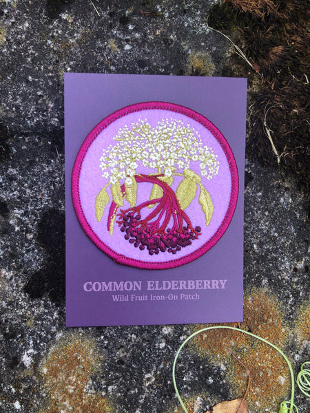 Common Elderberry | Indigenous Plant Patch