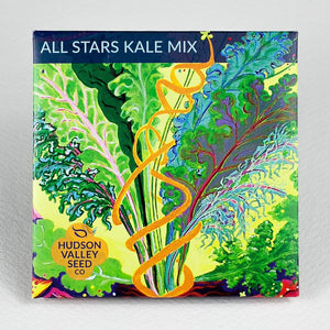 All Stars Kale Art Pack Seeds