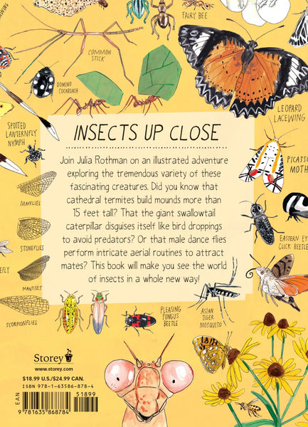 Insect Anatomy by Julia Rothman