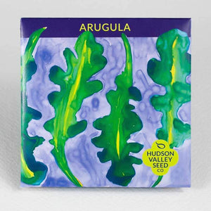 Arugula Art Pack Seeds