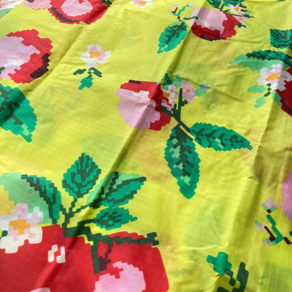 Needlepoint Apple | Standard Baggu