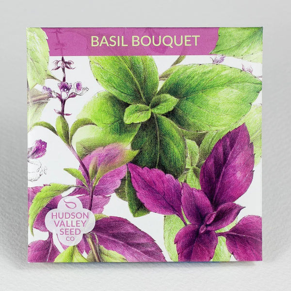 Basil Bouquet Art Pack Seeds