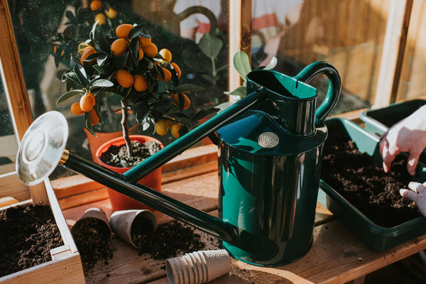 The Bearwood Brook Watering Can | One Gallon in Green