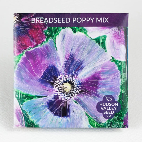 Breadseed Poppy Mix Art Pack Seeds