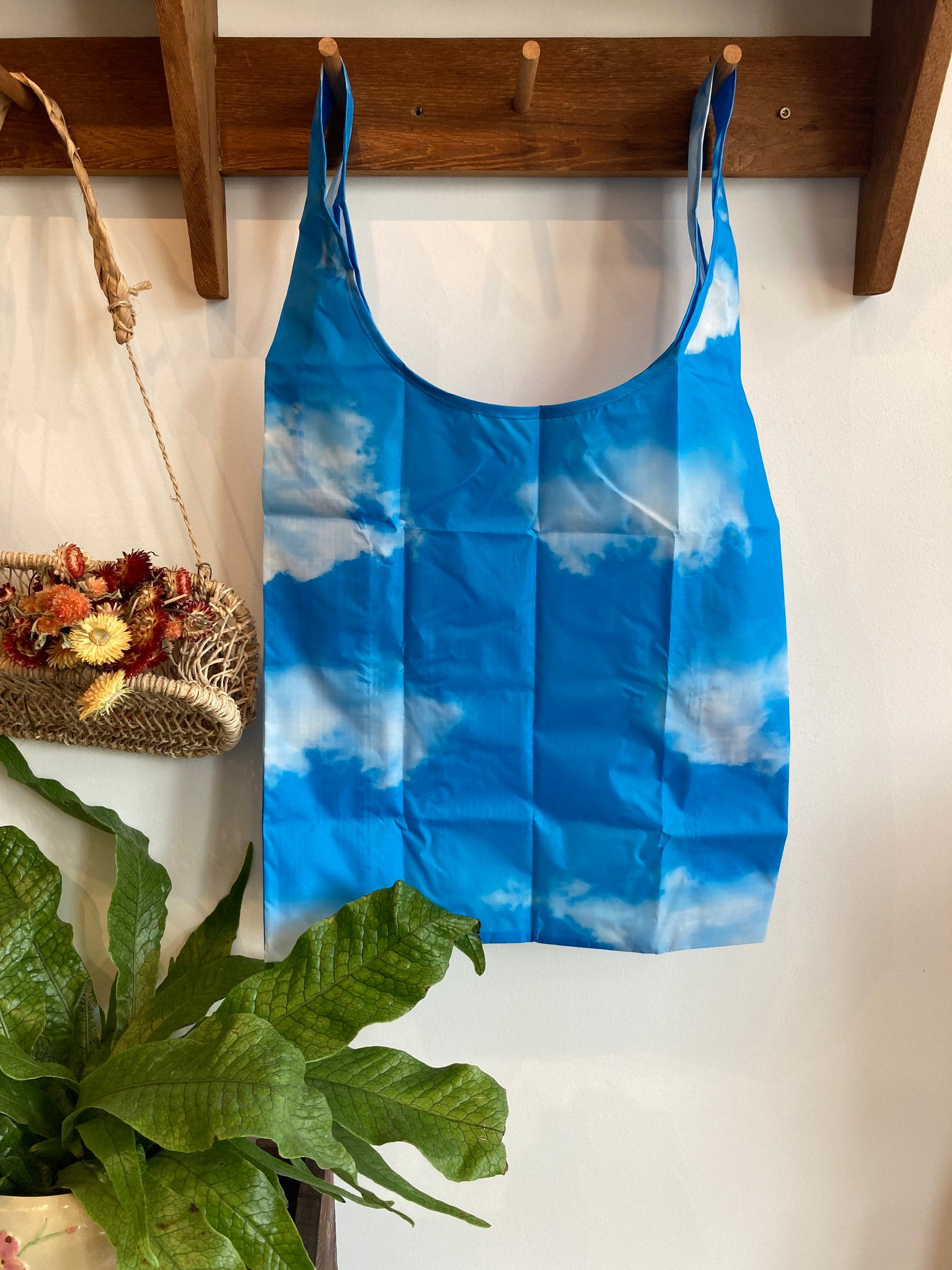 Clouds | Standard Baggu
