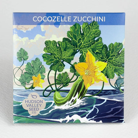 Cocozelle Zucchini Art Pack Seeds