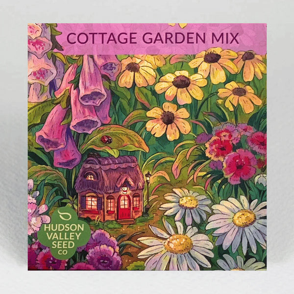 Cottage Garden Mix Art Pack Seeds