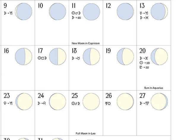 We'Moon on the Wall 2025 | Astrological Moon Phase Calendar