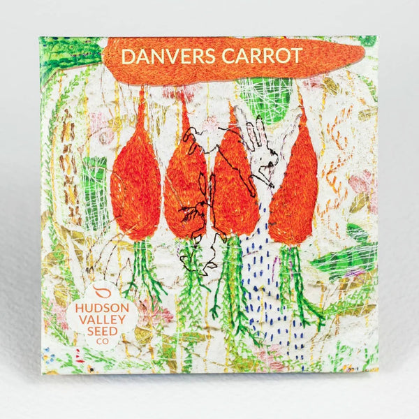 Danvers Carrot Art Pack Seeds