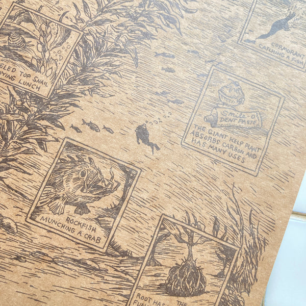 Screech Owl | Coilbound Decomposition Notebook