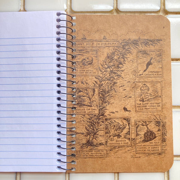 Hummingbirds | Pocket Coil Decomposition Book