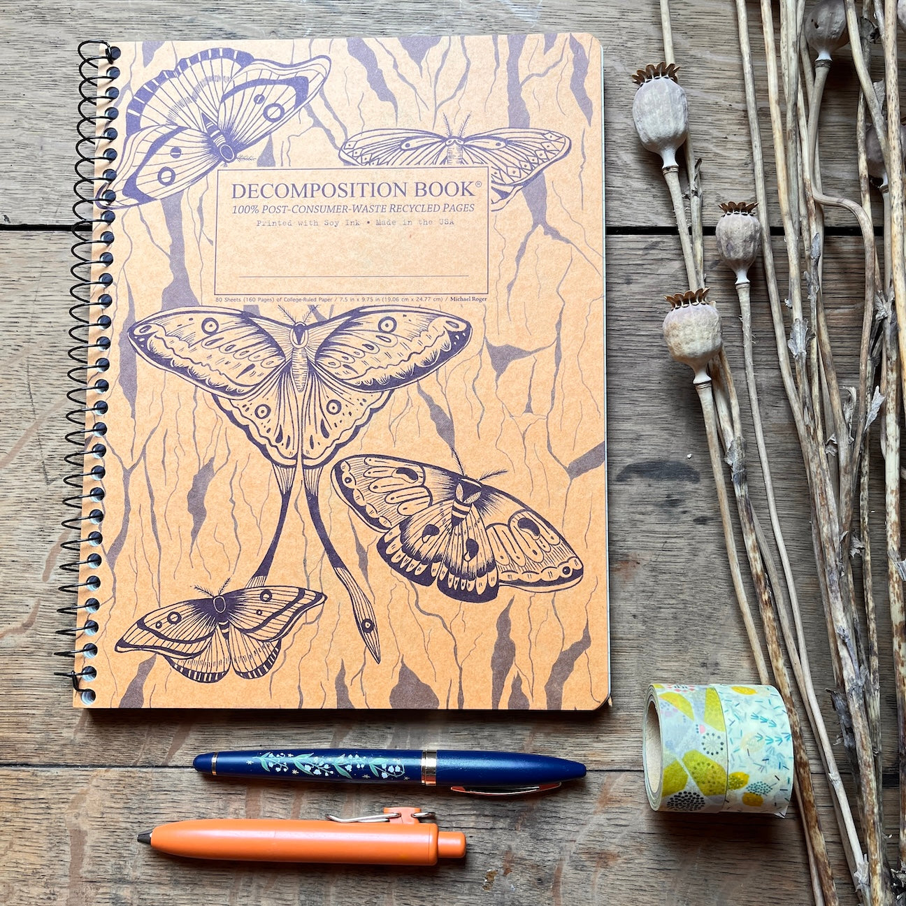 Midnight Moths | Coilbound Decomposition Notebook – Pink Moon Goods