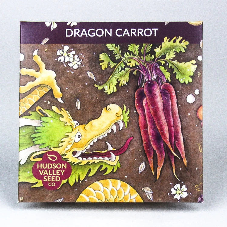 Dragon Carrot Art Pack Seeds