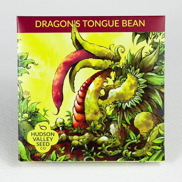 Dragon's Tongue Bush Bean Art Pack Seeds