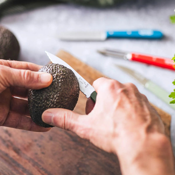 Essential Serrated Paring Knife