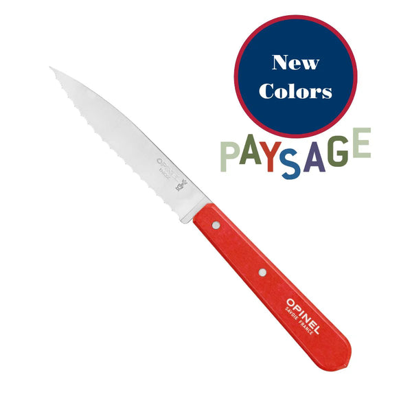 Essential Serrated Paring Knife