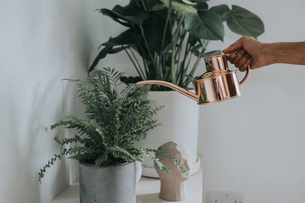The Fazeley Flow Watering Can | One Pint Copper