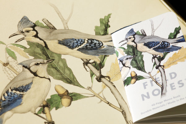 Birds and Trees of North America - Pack A | Field Notes Memo Book