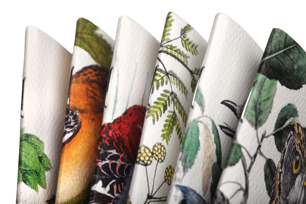 Birds and Trees of North America - Pack A | Field Notes Memo Book
