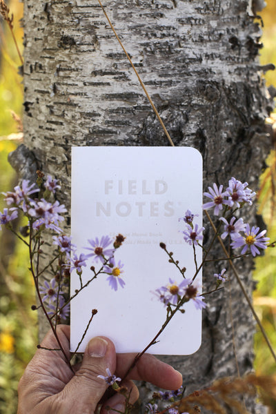 Birch Bark | Field Notes Memo Books