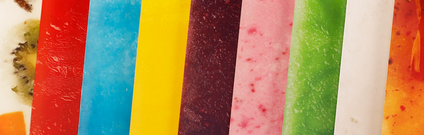 Paletas Pack C - Field Notes Memo Book