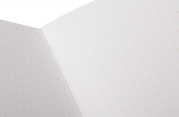 Paletas Pack C - Field Notes Memo Book