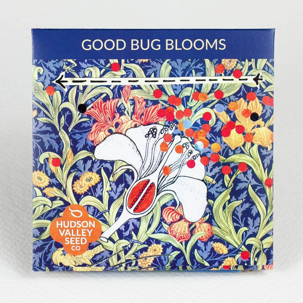 Good Bug Blooms Art Seed Pack