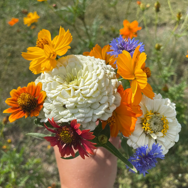 Good Bug Blooms Art Seed Pack