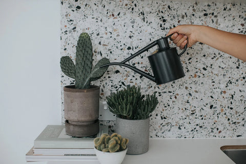 The Fazeley Flow Watering Can | Two Pint in Graphite