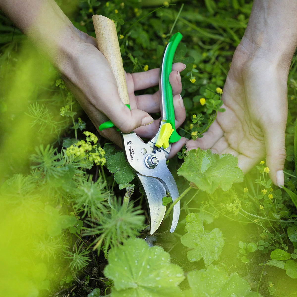 Hand Pruners – Pink Moon Goods